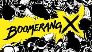 Read more about the article Boomerang X